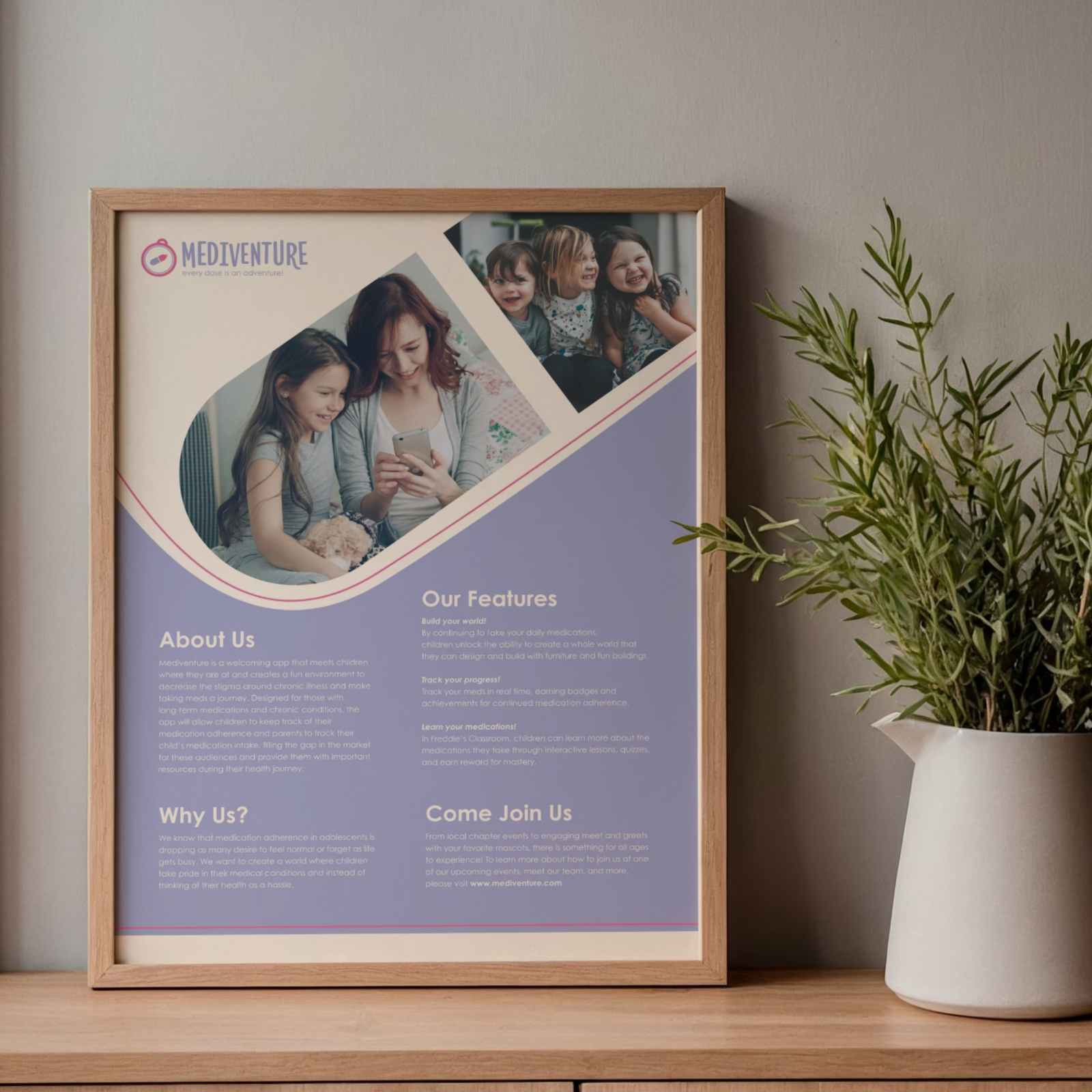 Informative poster about Mediventure framed